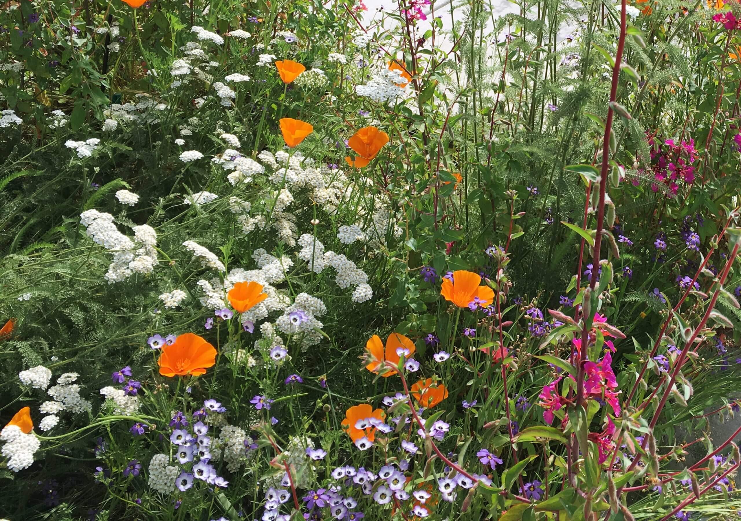 Ökologische Gartengestaltung